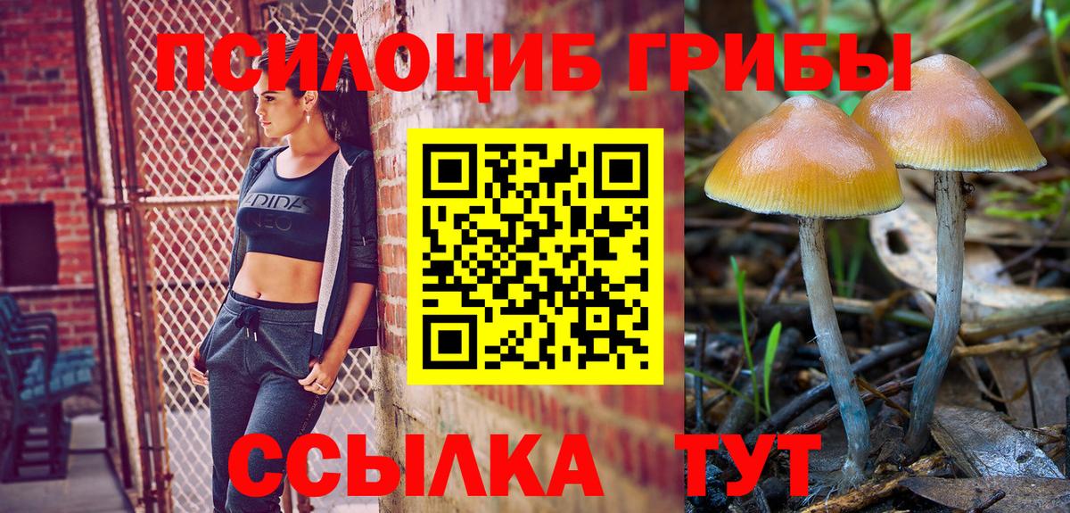 Галлюциногенные грибы MAGIC MUSHROOMS Калининград